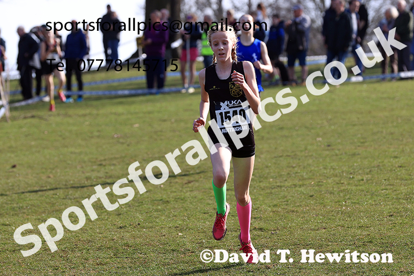 Girls under-13s 2025 UK CAU Inter Counties Cross Country Champs., Wollaton Park, Nottingham. Photo: David T. Hewitson/Sports for All Pics